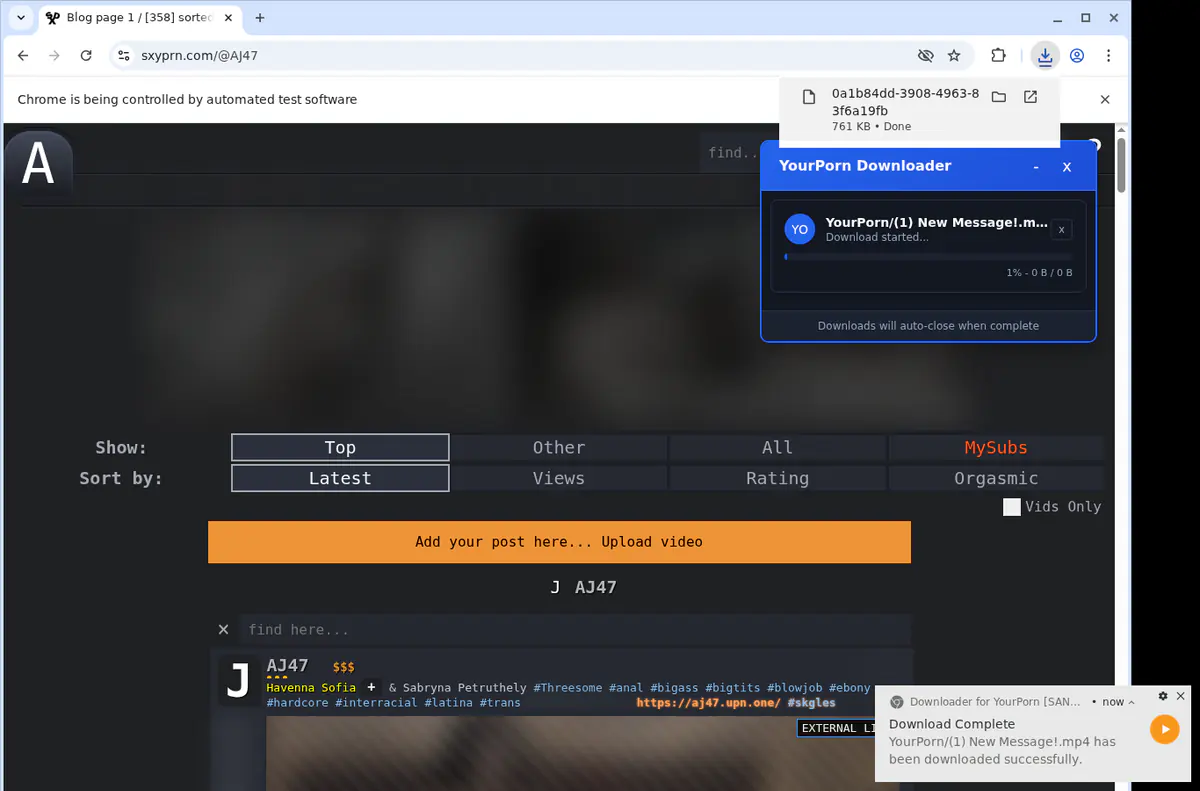 Yourporn Video Downloader browser extension screenshot 2