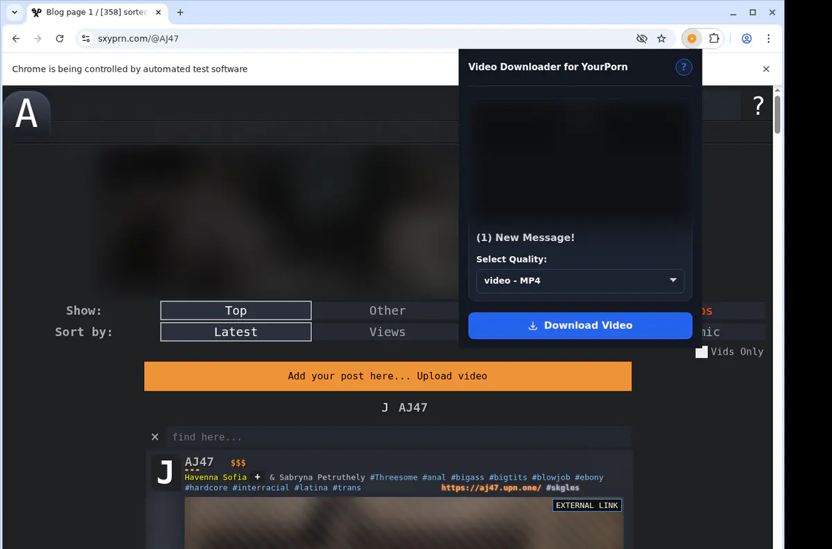 Yourporn Video Downloader browser extension screenshot 3