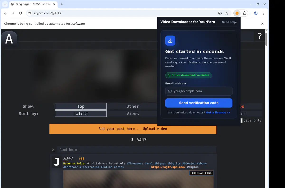 Yourporn Video Downloader browser extension screenshot 5